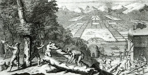 ベンジャミンマーティン（1699-1763）による「ジョージア州の植民地を設立した理由」からのイラスト、1733年